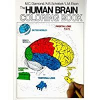 The Human Brain Coloring Book (Coloring Concepts)